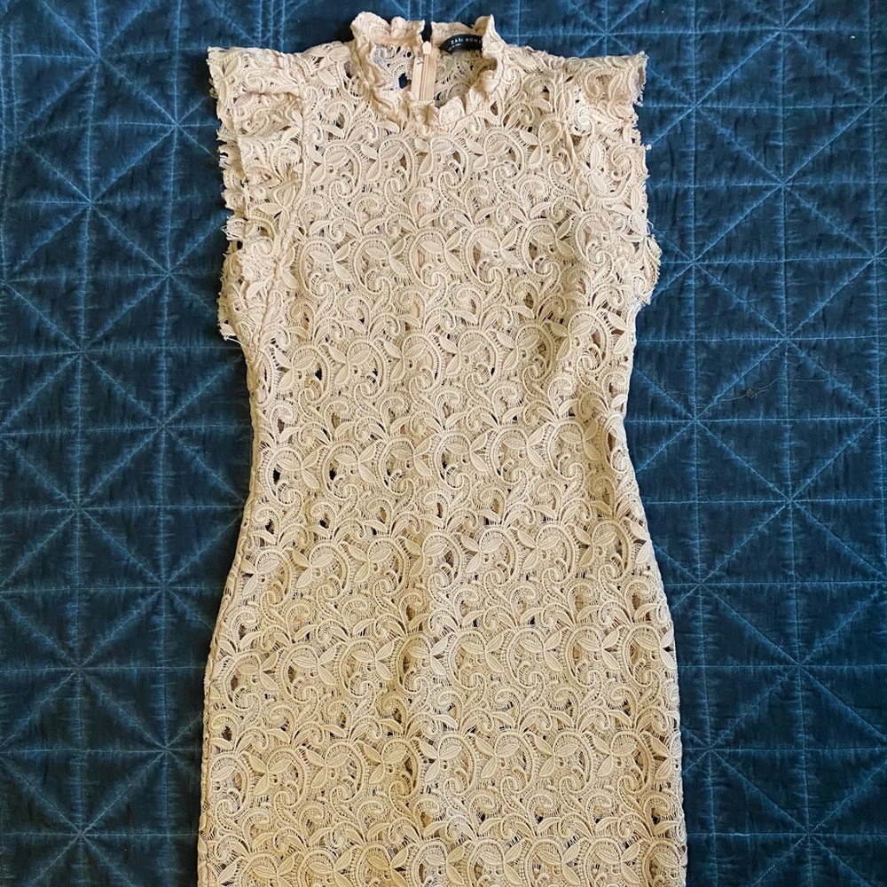 Zara blush pink lace cocktail dress